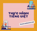 Thực hành tiếng Việt (SGK - Trang 104)
