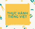 Thực hành tiếng Việt (SGK - Trang 32)