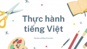 Thực hành tiếng Việt (SGK - Trang 28)