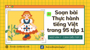 Soạn bài Thực hành tiếng Việt trang 95 tập 1