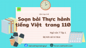 Soạn bài Thực hành tiếng Việt lớp 7 trang 110 Tập 1