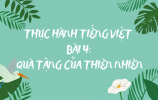 Thực hành tiếng Việt bài 4: Quà tặng của thiên nhiên