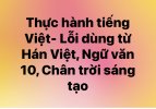 Thực hành tiếng Việt - Lỗi dùng từ Hán Việt và cách sửa - đầy đủ và ngắn gọn