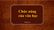 chuc-nang-cua-van-hoc-la-gi.png