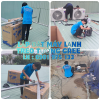 LAP-DAT-MAY-LANH-TRE-TUONG-GREE -TNP.png