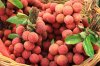 Thương nhớ mùa đã qua -Văn học trẻ.JPG