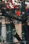 794A3BE2-717F-401E-B0FD-3A406CB5FE68.jpeg