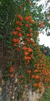 IMG_UPLOAD_20220119_110836.jpg