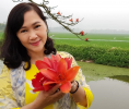 Hoa gạo tháng Ba - Hung Le