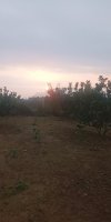 IMG_UPLOAD_20220309_063321.jpg