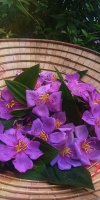 IMG_UPLOAD_20220322_093140 (1).jpg