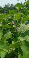 IMG_UPLOAD_20220407_121028.jpg