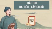 bai-tho-ba-tieu-dolatrees-800x450.jpg